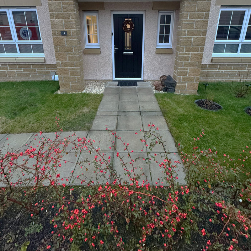petrie-landscaping-reviews